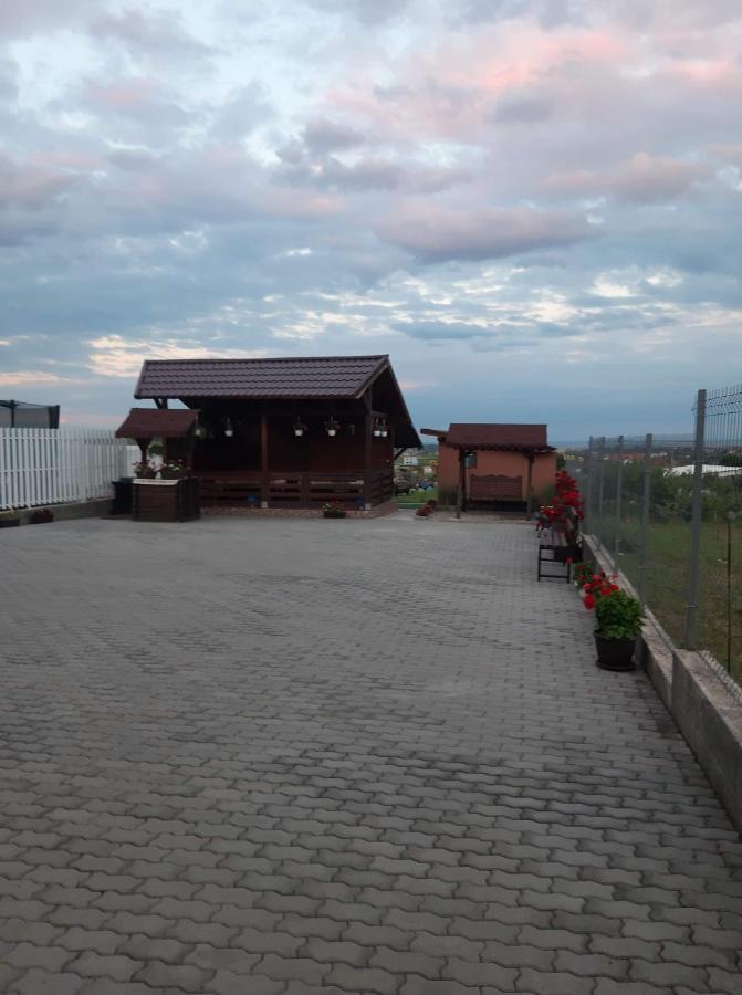 Casa Alba Ξενοδοχείο Sandulesti Εξωτερικό φωτογραφία