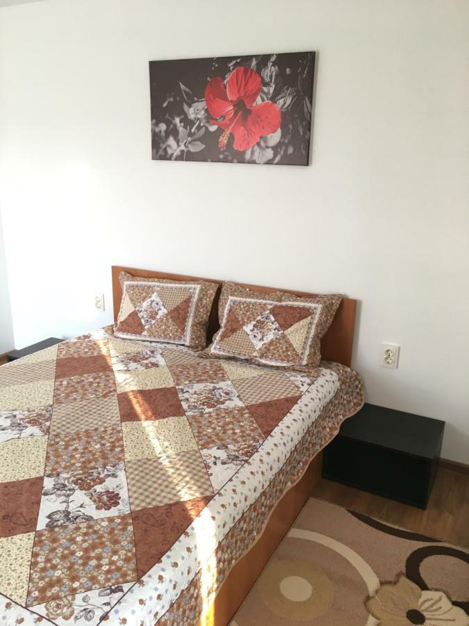 Casa Alba Ξενοδοχείο Sandulesti Εξωτερικό φωτογραφία